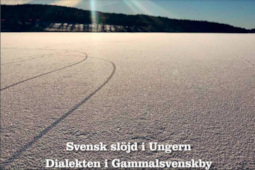 A svéd szlöjd misztikus útja Magyarországra